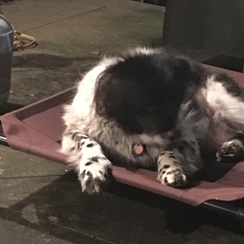 Meet your Posher, Blake